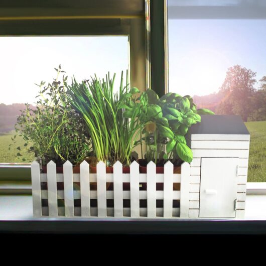 Indoor Allotment