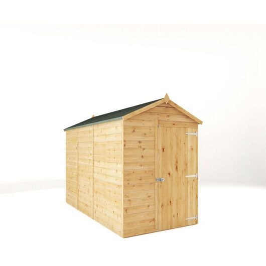 10 x 5 Feet Modular Shiplap Apex - Windowless - Wood - L314.4 x W159.3 x H215.9 cm