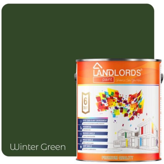 Landlords Paint - Shed & Fence Paint - Best Durable Outdoor Wood Protection - Winter Green - 2.5L